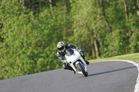 Evening_Low_Mid_Group